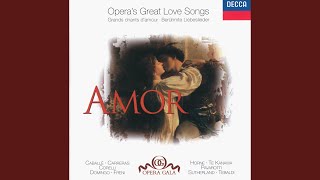 Verdi: Aida / Act 1: &quot;Celeste Aida&quot;