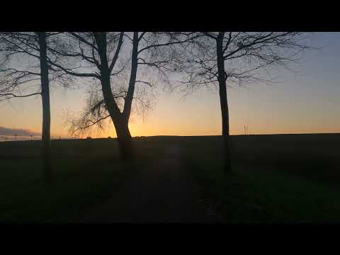 Walking in Almere Poort