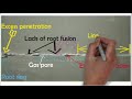 WELDING DEFECTS Porosity Cracks Undercut Lack Of Fusion Arc Strike Underfill LOF