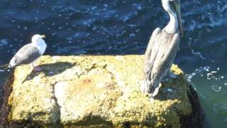 Dancing At Confectioners Hall 1985