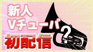 新人Vチューバ初配信