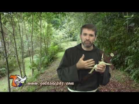 Jueves de la VIII Semana del Tiempo Ordinario. 03 03 2011