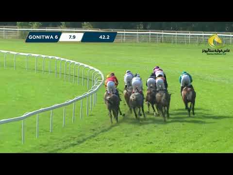 NAGRODA EMAELA – WATHBA STALLIONS CUP 20.08.2023 - (Dzień 26; Gonitwa 6)