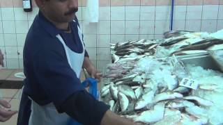 preview picture of video 'Fish Markets in Abu Dhabi'