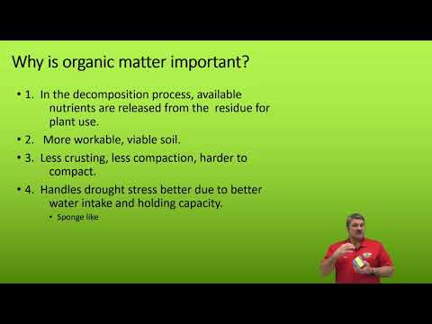 Reading Between the Lines on Your Soil Test