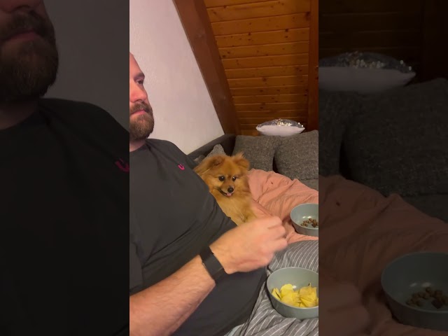 Video teaser for Sony BRAVIA 8 II Review | David testet Sony OLED TV für Sport