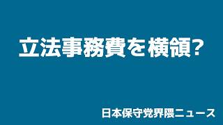 立法事務費を横領?百田代表またも刑事告訴!!飯山氏に反応する竹上氏!【日本保守党界隈ニュース2026/6/27】
