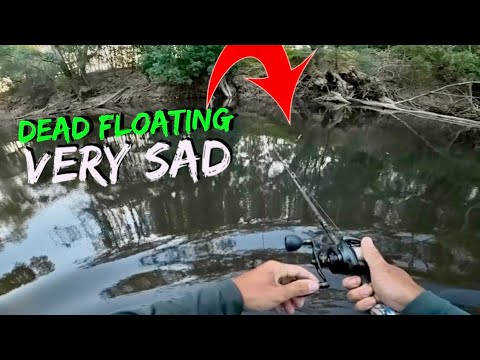 I Found This Floating While Fishing | It made Me Sick
