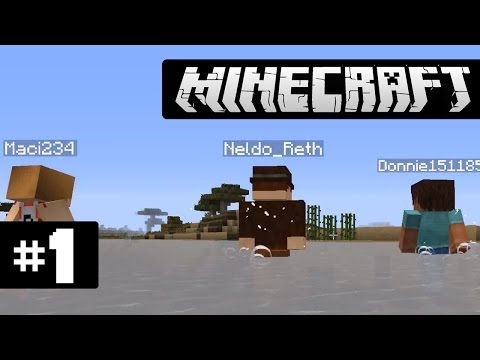 Minecraft (Multiplayer) [HD+] #1 - Der Beginn einer Kooperation | Let's Play Together