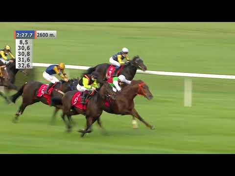 11.10.2020 (D39; G8; Tor: 3,4; 10°C) Wielka Warszawska - G1 POL (kat.A)