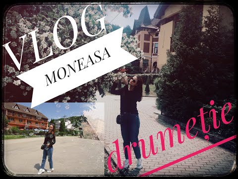 VLOG | FAIL cu traseul de drumetie | Plimbare prin Moneasa