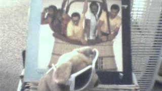 Blackbyrds "Funkie Junkie"