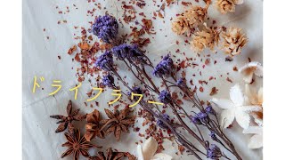 【心を込めて歌ってみた】ドライフラワー covered by kms