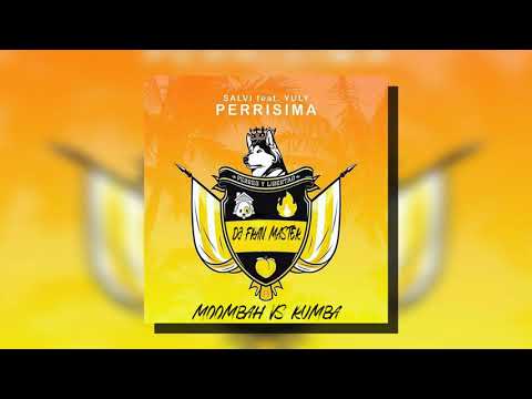 Salvi ft Yuly -  Perrisima (dj fran master moombah vs rumba)