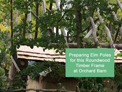 Preparing Elm poles for the Roundwood Timber Framed Craft Room at Orchard Barn
