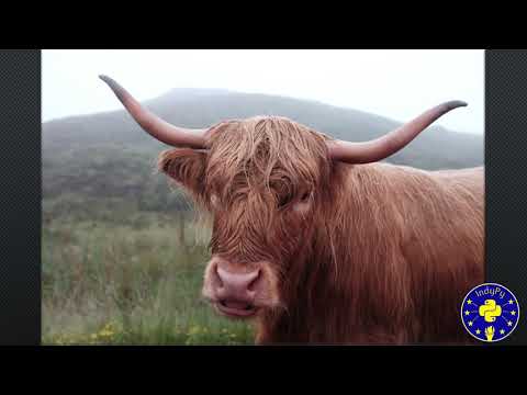 "S.T.E.A.M. Power: How The Arts Supercharge Technology" by Glenn Keller