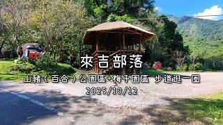 來吉部落-山豬公園與梅子園步道逛一圈2025/10/12