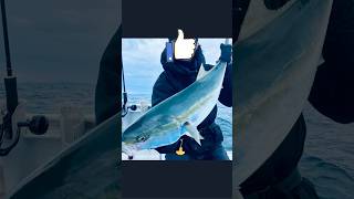 90cmの奴を釣る。