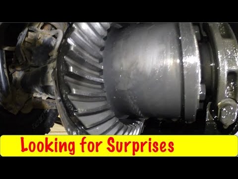 Dana 35 With Detroit Truetrac Service DIY