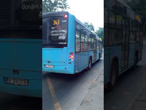 Un pitic pe Linia 343… 🤣