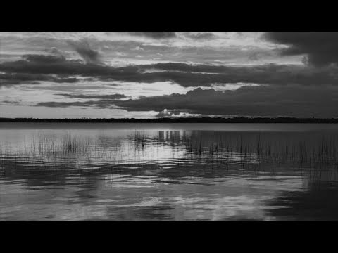 Andrzej Zaucha / Goniąc kormorany /1987