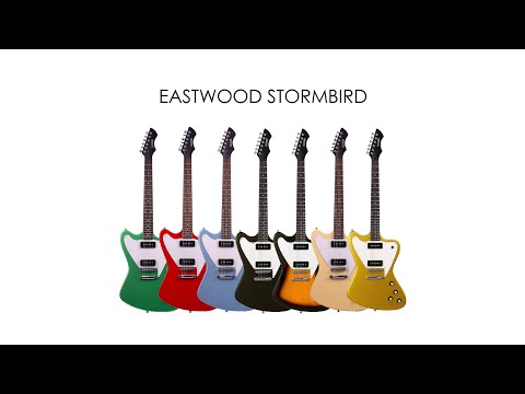 Eastwood Stormbird 2010’s - Sunburst image 10
