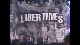 the libertines - vertigo - live - hyde park - london - 5/7/14