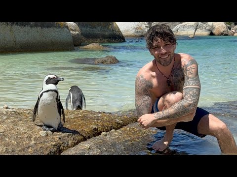 Mon aventure à Cape Town avec EF Education 🇿🇦✨