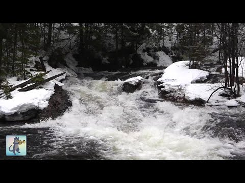12 HOURS of Relaxing River Sounds - Peaceful Winter Forest River & Gentle Stream (Sleep Sounds)