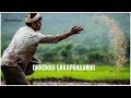 Maharshi Song Farmer Maharshi Status