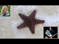 The very "FUNNY" Bob Karwin on the Don't Worry Beach Happy Show