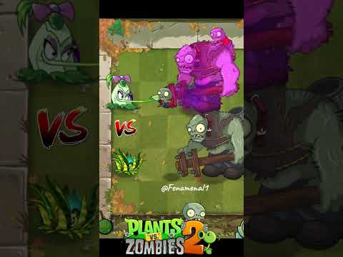 Pokra VS Tiger Grass Vs Team Zombie | Plants vs Zombies 2 #pvz2 #pvz2gameplay