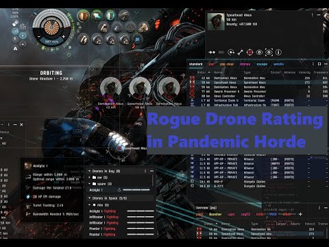 Ratting 101 inside Pandemic Horde