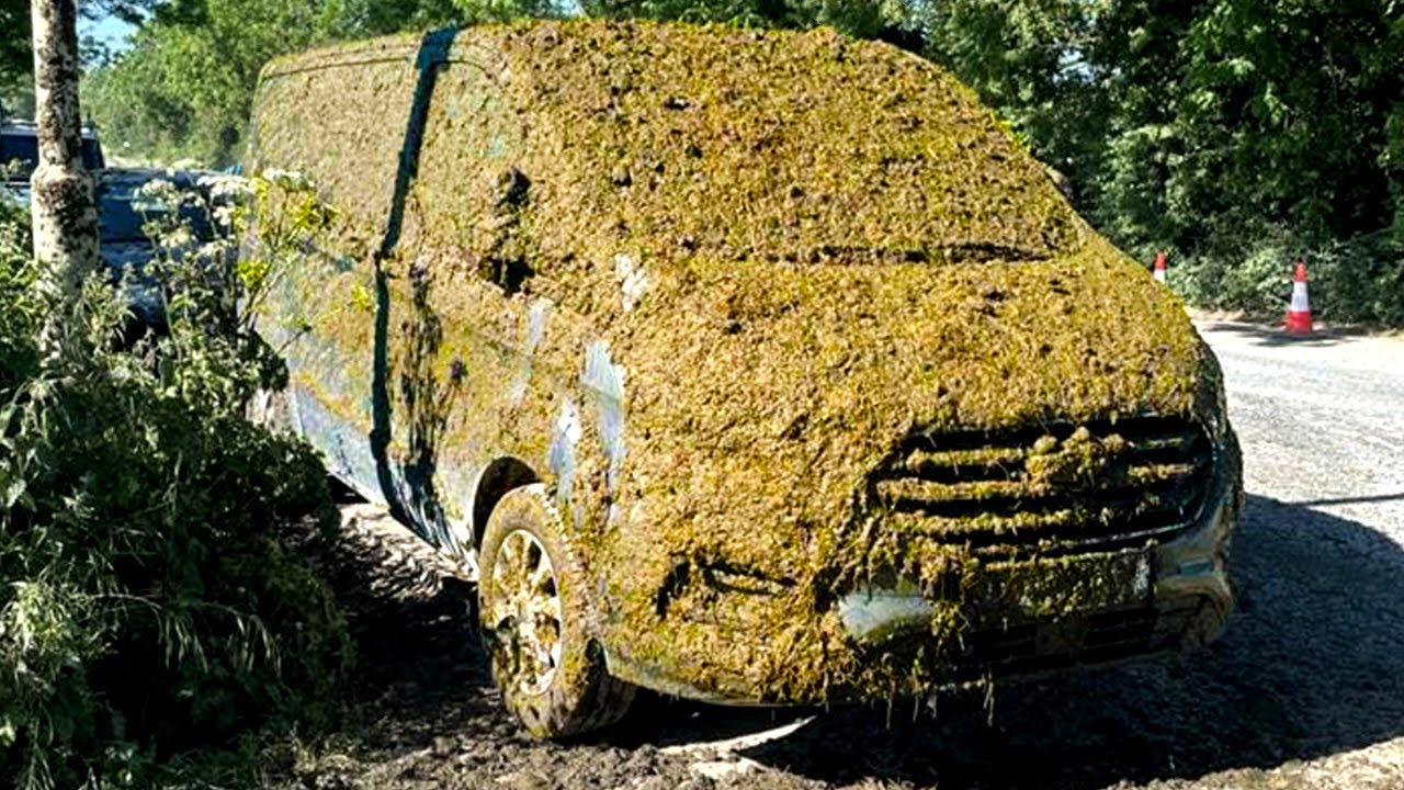 Passive Aggressive Ways People Got Revenge – Part 5