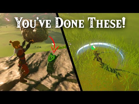30 Things EVERY Zelda Player Has Done! |Botw|