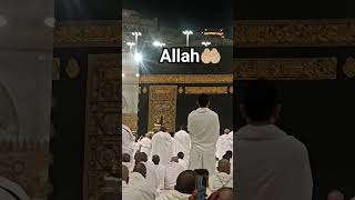 Download lagu #yaallah #allah #allahhuakbar #lailahaillallah #muhammad #rasulullah #salleallahualaihiwassallam 🤲🏼 mp3
