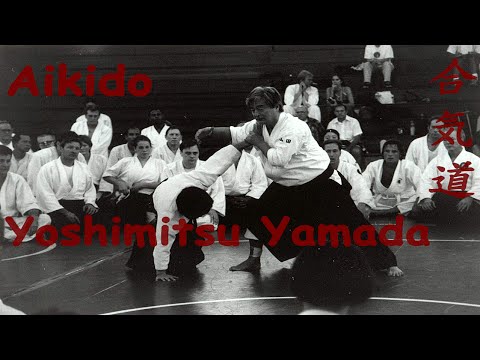 Yoshimitsu Yamada Sensei - Instructional Film