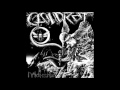 Cloud Rat - Infinity Chasm 