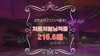 [실전경마] 처음처럼님 삼쌍승 216.6배 실전 적중 축하드립니다