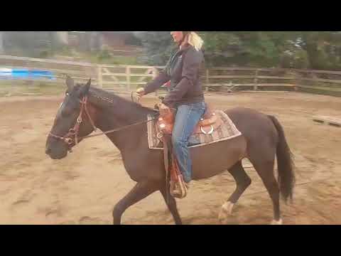 MUSTANG MAKEOVER 2018 Team Cathleen (TAG 3299) - Update 8