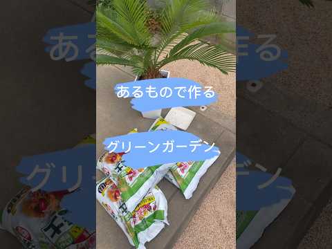 匍匐性のロックガーデンの植物: カラフルなロックガーデン用の見事な花を咲かせる常緑の多年草10本  庭園