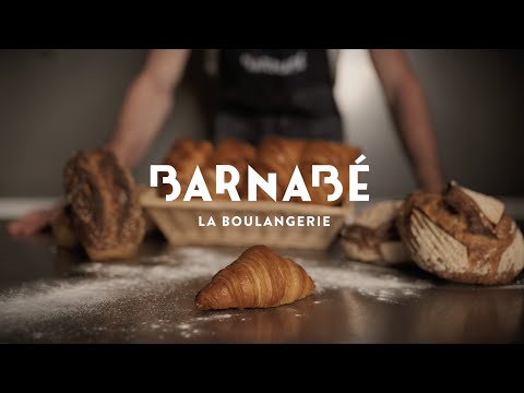 Vidéo Marketing - Barnabé