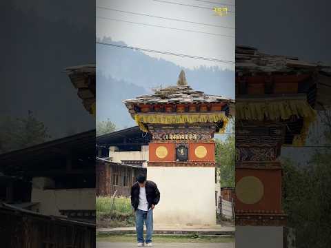 Ya taru ma taru @SonamWangchen #shortsfeed #dance #ytshorts #bhutanesemusic #bhutanesesong #fyp