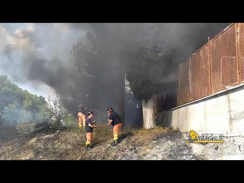 Brucia area sul retro dell'isola ecologica a Senise