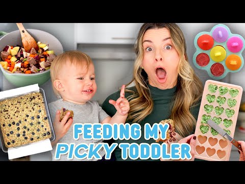 TODDLER MEAL PREP | Hacks & Tips for Picky Eaters