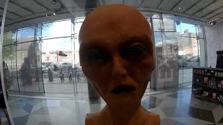 Défit du jour : suivre les inconnus jusqu'à Bray en passant par Trinity College et faire un Time