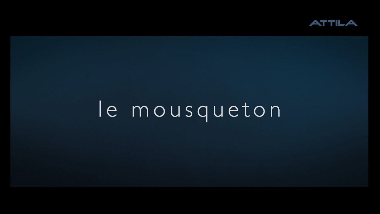 Le réseau Attila sensibilise au travail en hauteur