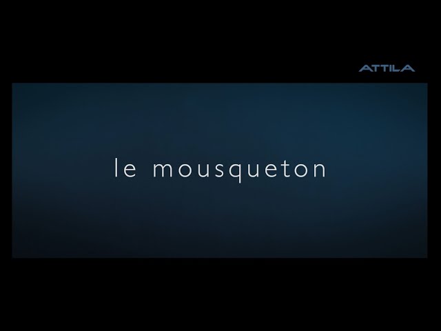 Le réseau Attila sensibilise au travail en hauteur