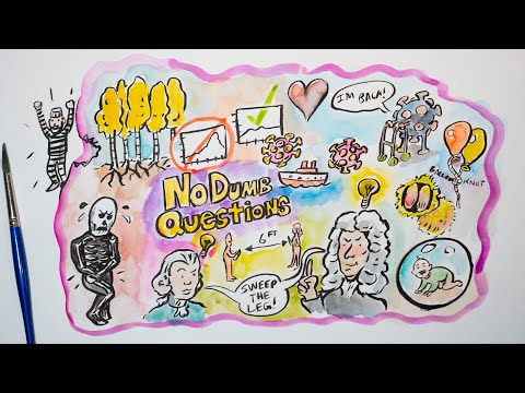 Processing a Pandemic - No Dumb Questions 079