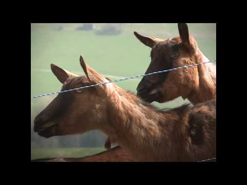 Young farmers seek land